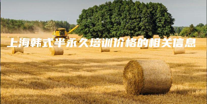 上海韩式半永久培训价格的相关信息插图