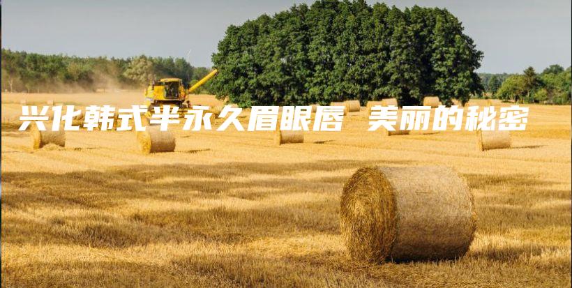 兴化韩式半永久眉眼唇 美丽的秘密插图