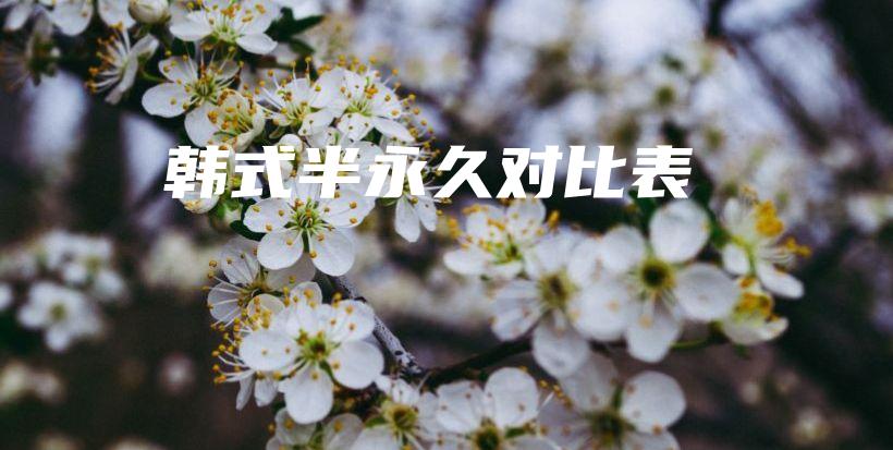 韩式半永久对比表插图