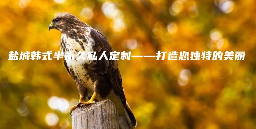 盐城韩式半永久私人定制——打造您独特的美丽插图