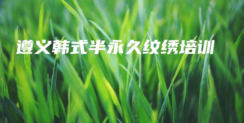 遵义韩式半永久纹绣培训插图