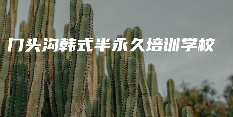 门头沟韩式半永久培训学校插图