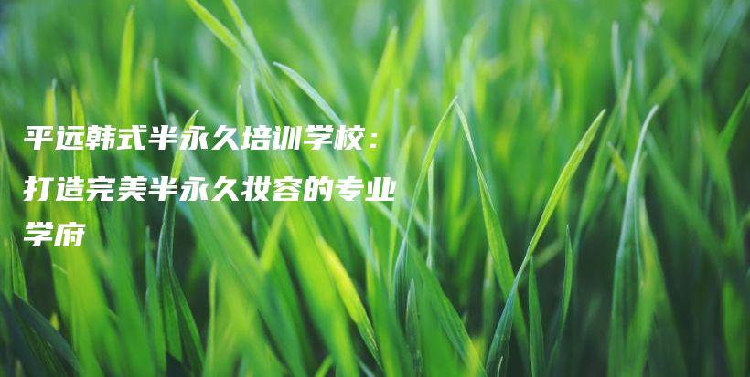 平远韩式半永久培训学校：打造完美半永久妆容的专业学府插图