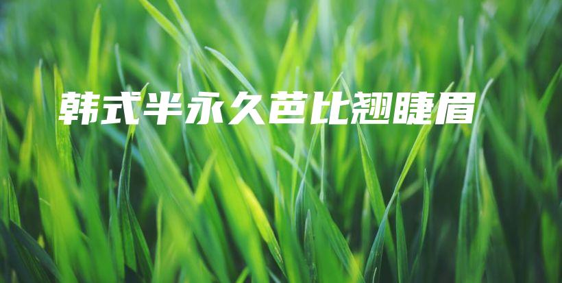 韩式半永久芭比翘睫眉插图