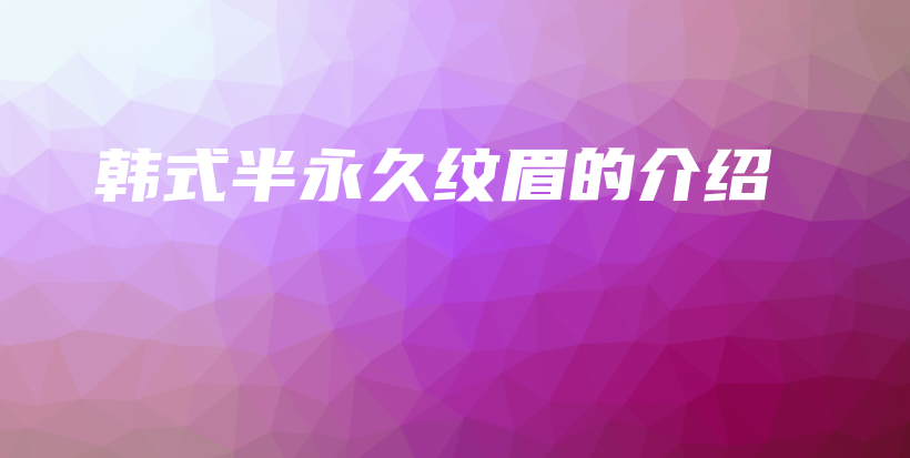 韩式半永久纹眉的介绍插图