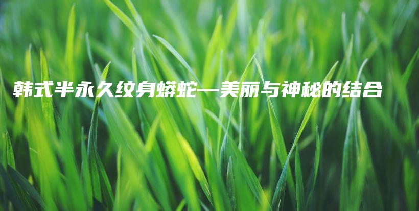 韩式半永久纹身蟒蛇—美丽与神秘的结合插图