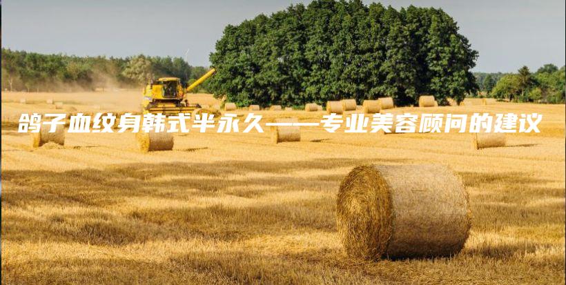 鸽子血纹身韩式半永久——专业美容顾问的建议插图