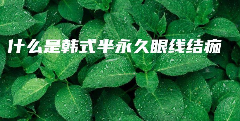 什么是韩式半永久眼线结痂插图