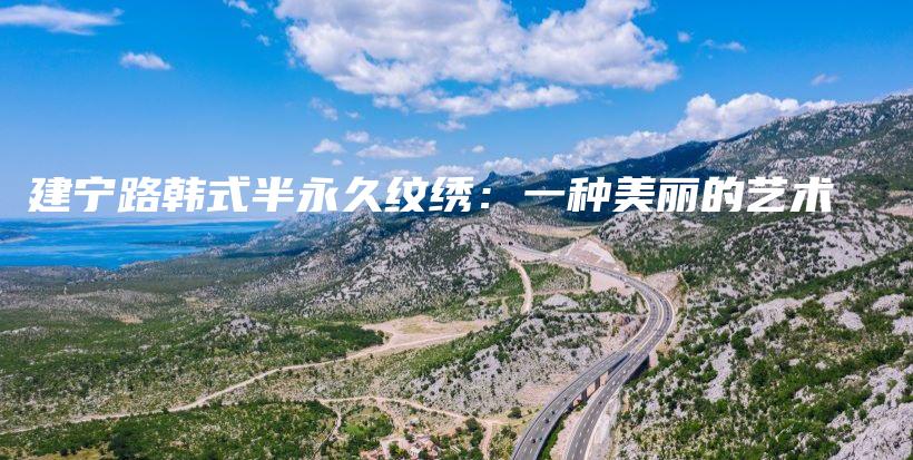 建宁路韩式半永久纹绣：一种美丽的艺术插图