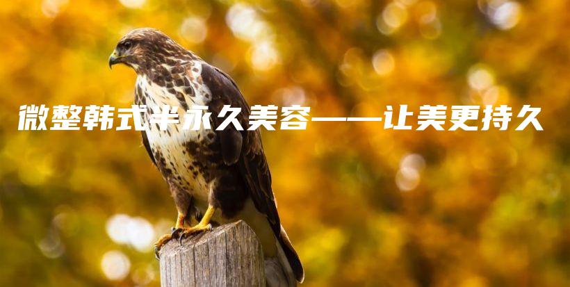 微整韩式半永久美容——让美更持久插图