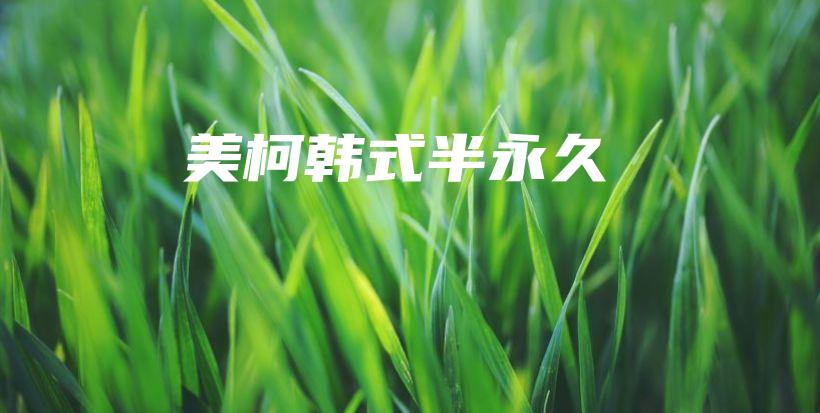 美柯韩式半永久插图