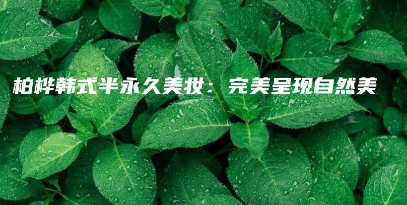 柏桦韩式半永久美妆：完美呈现自然美插图