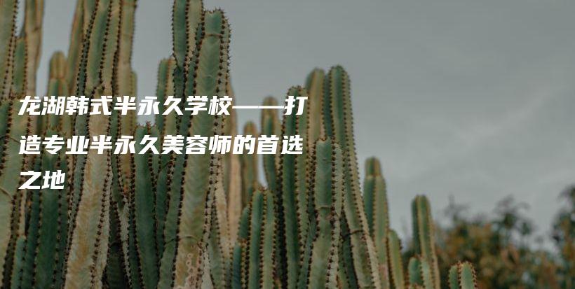 龙湖韩式半永久学校——打造专业半永久美容师的首选之地插图