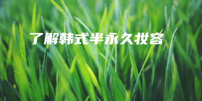 了解韩式半永久妆容插图