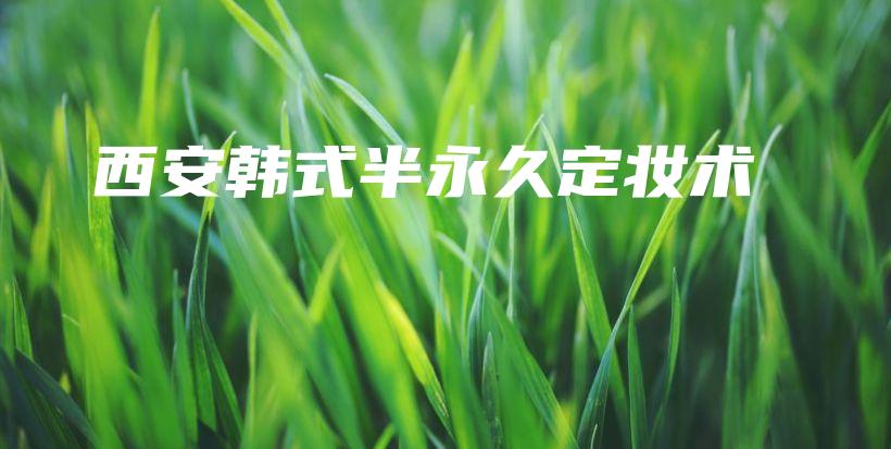 西安韩式半永久定妆术插图