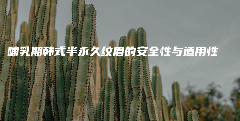 哺乳期韩式半永久纹眉的安全性与适用性插图
