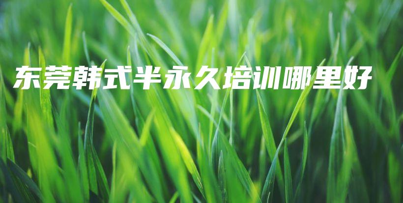 东莞韩式半永久培训哪里好插图