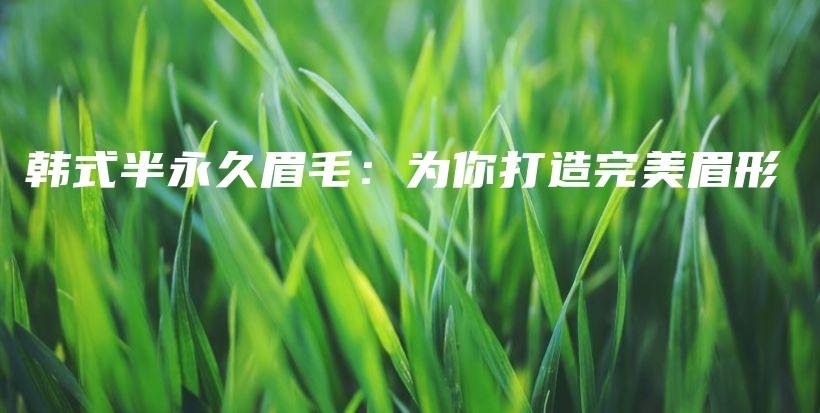 韩式半永久眉毛：为你打造完美眉形插图