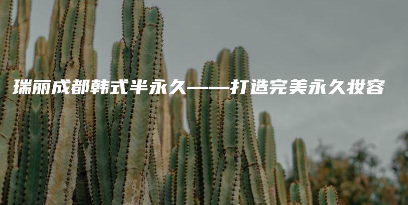 瑞丽成都韩式半永久——打造完美永久妆容插图
