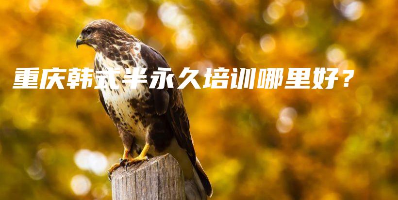 重庆韩式半永久培训哪里好？插图