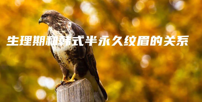 生理期和韩式半永久纹眉的关系插图