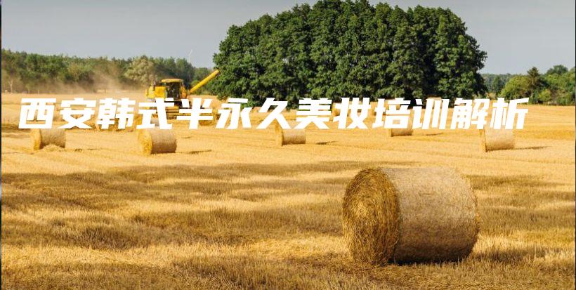 西安韩式半永久美妆培训解析插图