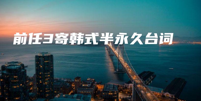 前任3寄韩式半永久台词插图