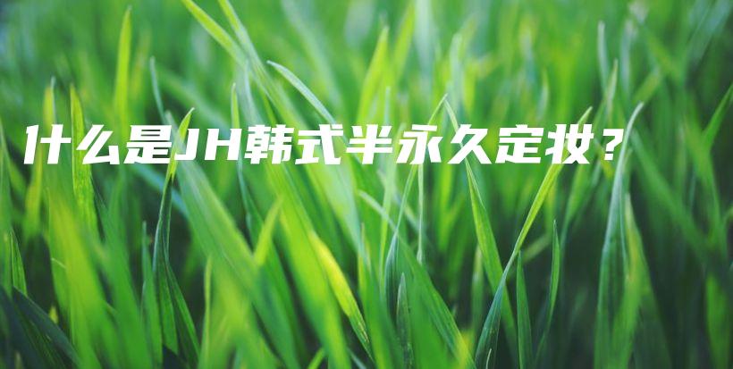 什么是JH韩式半永久定妆？插图