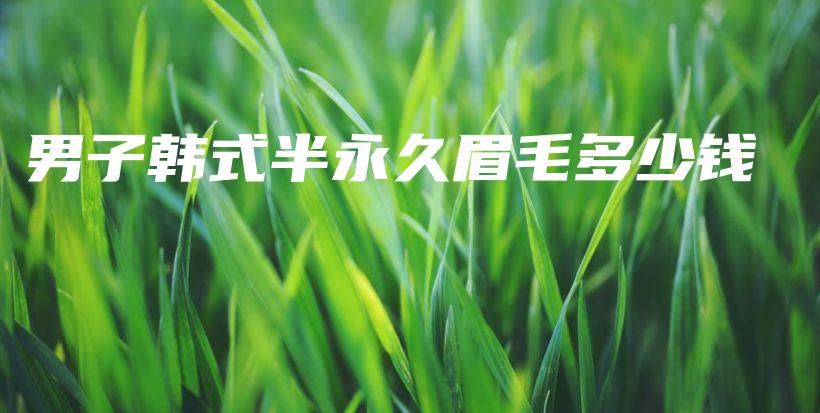 男子韩式半永久眉毛多少钱插图