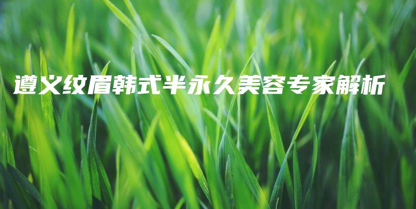 遵义纹眉韩式半永久美容专家解析插图