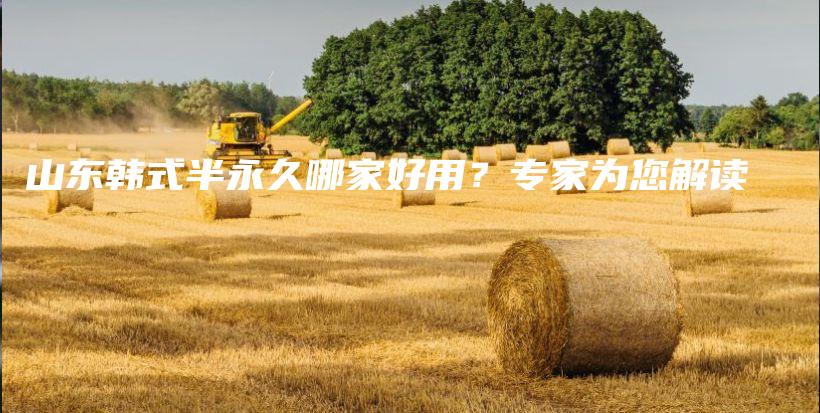 山东韩式半永久哪家好用？专家为您解读插图