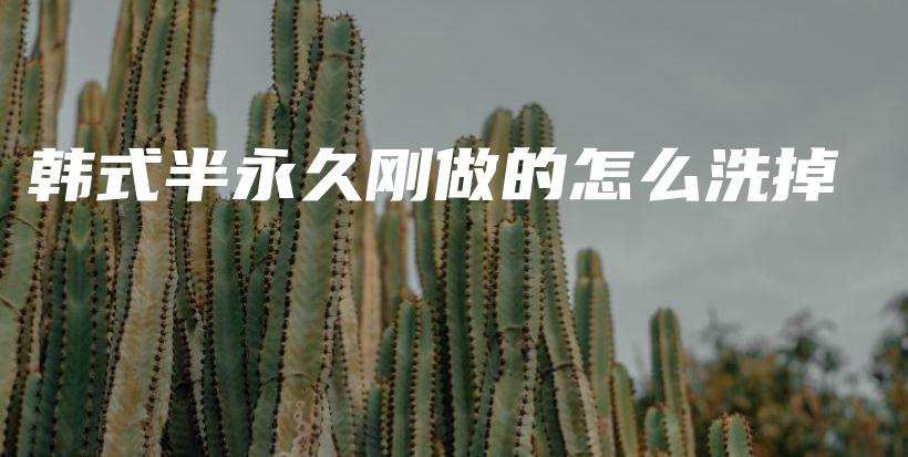 韩式半永久刚做的怎么洗掉插图