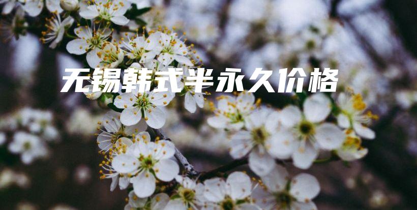 无锡韩式半永久价格插图