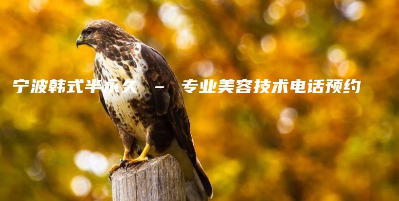 宁波韩式半永久 – 专业美容技术电话预约插图