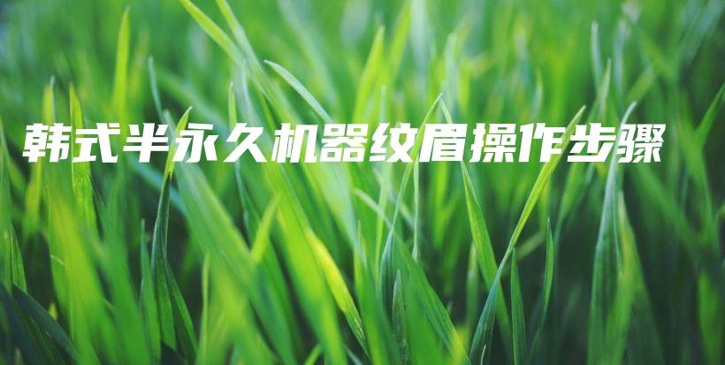 韩式半永久机器纹眉操作步骤插图