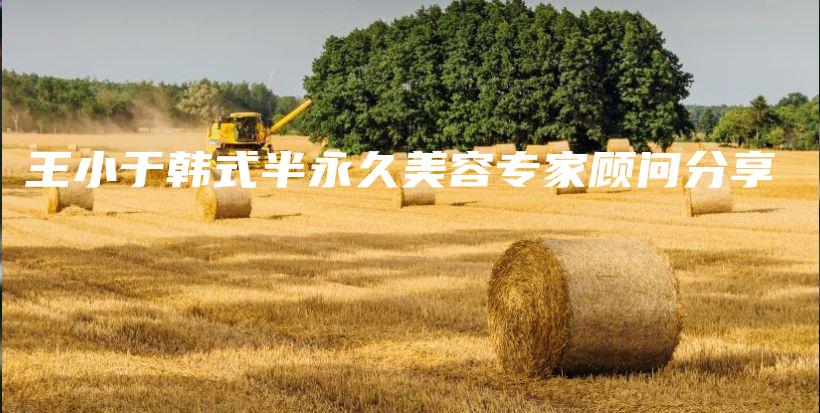 王小于韩式半永久美容专家顾问分享插图