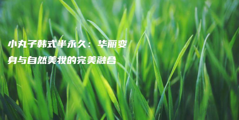 小丸子韩式半永久：华丽变身与自然美妆的完美融合插图