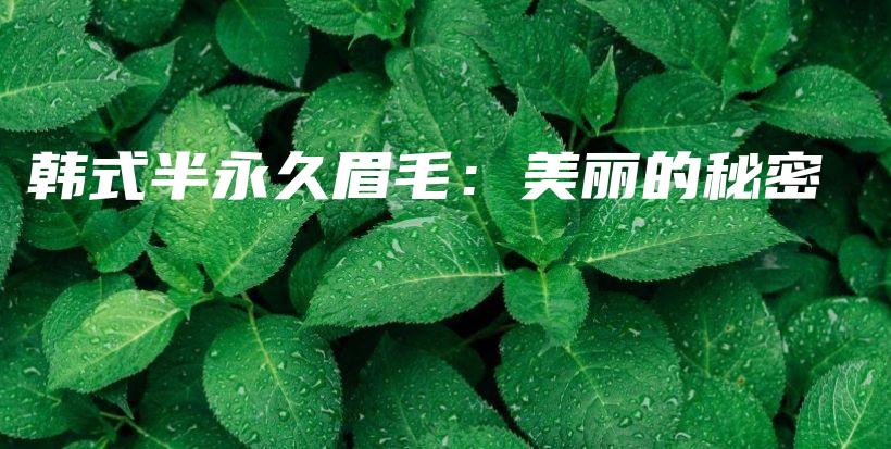 韩式半永久眉毛：美丽的秘密插图