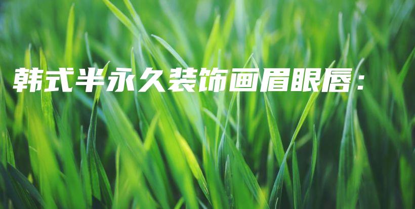 韩式半永久装饰画眉眼唇：插图