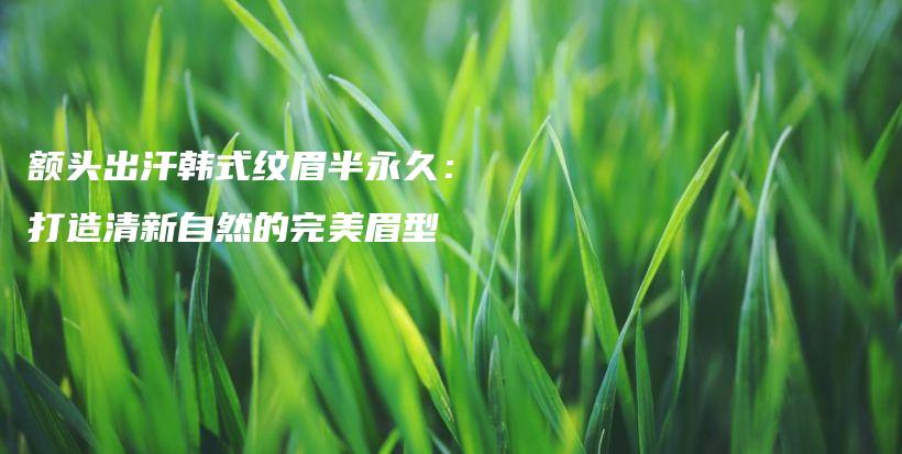 额头出汗韩式纹眉半永久：打造清新自然的完美眉型插图