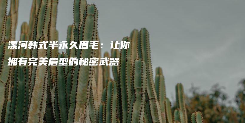 漯河韩式半永久眉毛：让你拥有完美眉型的秘密武器插图