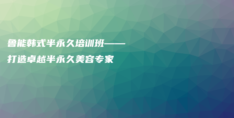 鲁能韩式半永久培训班——打造卓越半永久美容专家插图