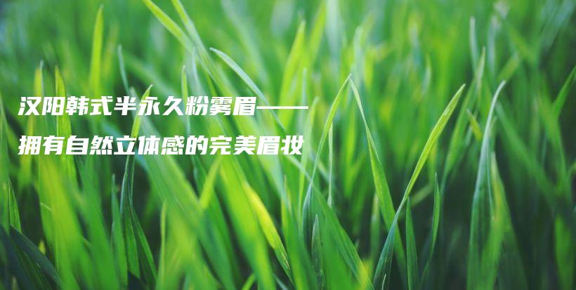 汉阳韩式半永久粉雾眉——拥有自然立体感的完美眉妆插图