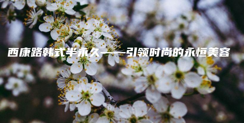 西康路韩式半永久——引领时尚的永恒美容插图