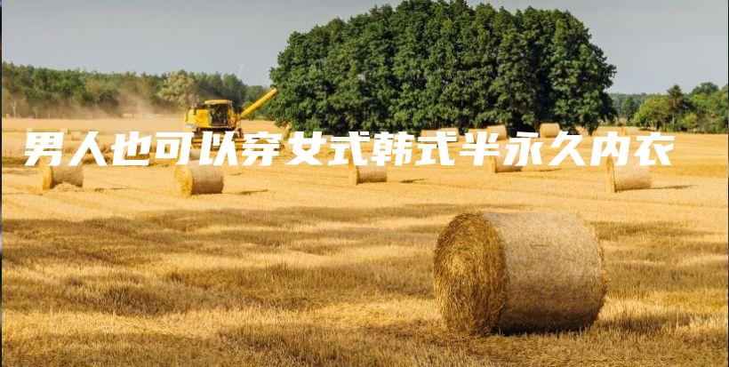 男人也可以穿女式韩式半永久内衣插图