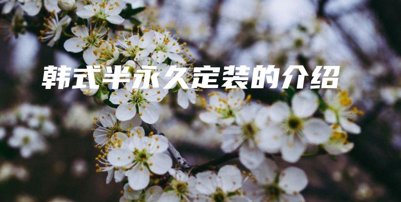 韩式半永久定装的介绍插图
