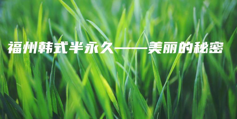 福州韩式半永久——美丽的秘密插图