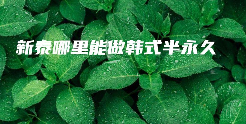 新泰哪里能做韩式半永久插图