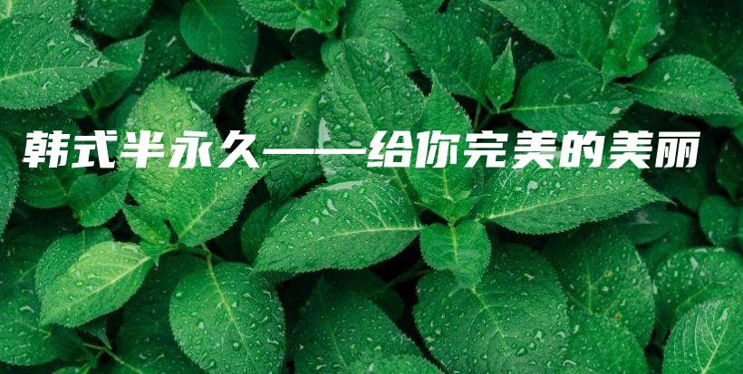 韩式半永久——给你完美的美丽插图