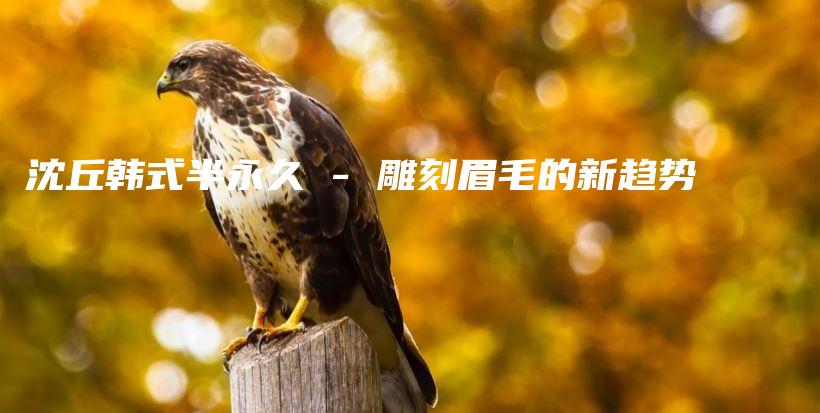 沈丘韩式半永久 – 雕刻眉毛的新趋势插图